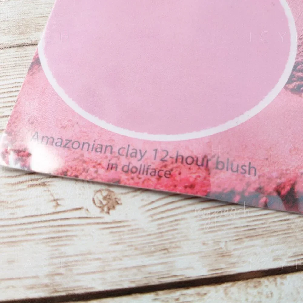 tarte Amazonian Clay Blush and Bronzer Sample Cards Park Ave Princess Dollface